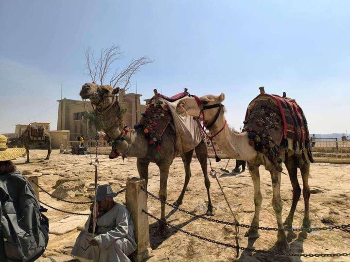 Thoth Pyramids Inn Kafret el-Gabal エクステリア 写真